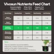 Vivosun NutriBoost (0 - 0 - 1), All - Purpose Liquid Fertilizer for All Growing Stages, 32 Ounces/1 Quart - Green Thumb Depot