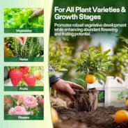 Vivosun Nutrients Base A & B Bundle, Liquid Fertilizer Supports Vegetative and Flowering Stage, 1 Gallon Each - Green Thumb Depot