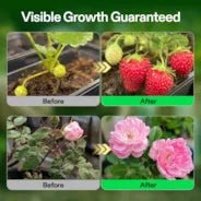 Vivosun Nutrients Base A & B Bundle, Liquid Fertilizer Supports Vegetative and Flowering Stage - Green Thumb Depot