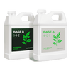 Vivosun Nutrients Base A & B Bundle, Liquid Fertilizer Supports Vegetative and Flowering Stage