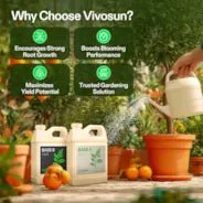 Vivosun Nutrients Base A & B Bundle, Liquid Fertilizer Supports Vegetative and Flowering Stage, 8oz - Green Thumb Depot