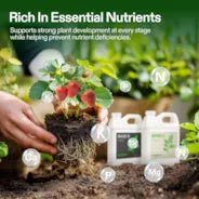 Vivosun Nutrients Base A & B Bundle, Liquid Fertilizer Supports Vegetative and Flowering Stage, 8oz - Green Thumb Depot