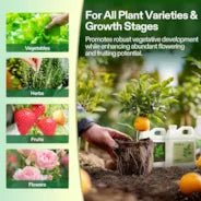 Vivosun Nutrients Base A & B Bundle, Liquid Fertilizer Supports Vegetative and Flowering Stage, 8oz - Green Thumb Depot