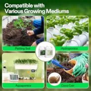 Vivosun Nutrients Base A & B Bundle, Liquid Fertilizer Supports Vegetative and Flowering Stage, 8oz - Green Thumb Depot