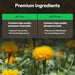 Vivosun pH Up & pH Down Kit, Liquid Fertilizer for All Plants and All Growing Systems, 1 Quart Each - Green Thumb Depot