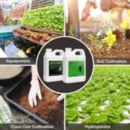 Vivosun pH Up & pH Down Kit, Liquid Fertilizer for All Plants and All Growing Systems, 1 Quart Each - Green Thumb Depot