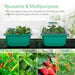Vivosun Seedling Combo w/ 3 - Pack 10"x20.75" Heat Mat and 6 - Pack Seed Starter Trays - Green Thumb Depot