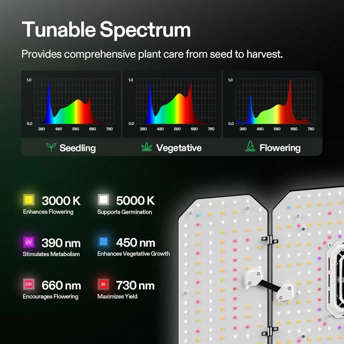 Vivosun Smart Grow Tent Kit Pro 2x4, 2 - Plant Complete System, with WiFi E42A+ Controller, 200W AeroLight Wing LED Grow Light, 4 - inch AeroZesh T4 Ventilation Combo, and AeroWave E6 Gen2 Clip - on Fan - Green Thumb Depot