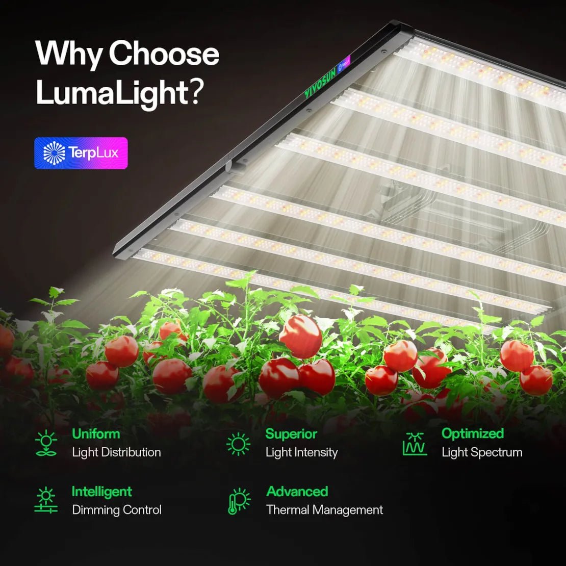 Vivosun Smart Grow Tent Kit Pro 4x8, 8 - Plant Complete System, with WiFi E42A+ Controller, 2x 500W LumaLight LED Grow Light, and 8 - inch AeroZesh T8 Ventilation Combo - Green Thumb Depot