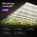 Vivosun Smart Grow Tent Kit Pro 4x8, 8 - Plant Complete System, with WiFi E42A+ Controller, 2x 500W LumaLight LED Grow Light, and 8 - inch AeroZesh T8 Ventilation Combo - Green Thumb Depot