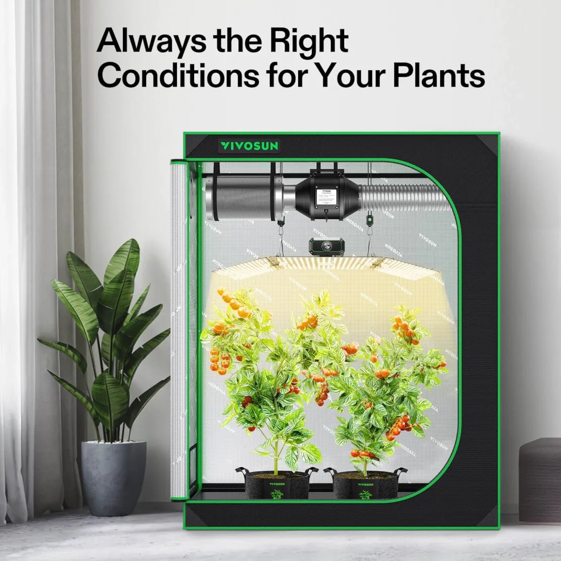 Vivosun Starter Grow Tent Kit, 4 × 2ft 2 - Plant System, WiFi - Controlled Grow System with Full Spectrum LED Grow Light, Automatic Ventilation, GrowHub Outlet A22 with Temperature and Humidity Sensor - Green Thumb Depot