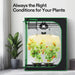 Vivosun Starter Grow Tent Kit, 4 × 2ft 2 - Plant System, WiFi - Controlled Grow System with Full Spectrum LED Grow Light, Automatic Ventilation, GrowHub Outlet A22 with Temperature and Humidity Sensor - Green Thumb Depot
