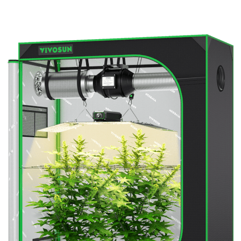Vivosun Starter Grow Tent Kit, 4 × 2ft 2-Plant System, WiFi-Controlled Grow System with Full Spectrum LED Grow Light, Automatic Ventilation, GrowHub Outlet A22 with Temperature and Humidity Sensor