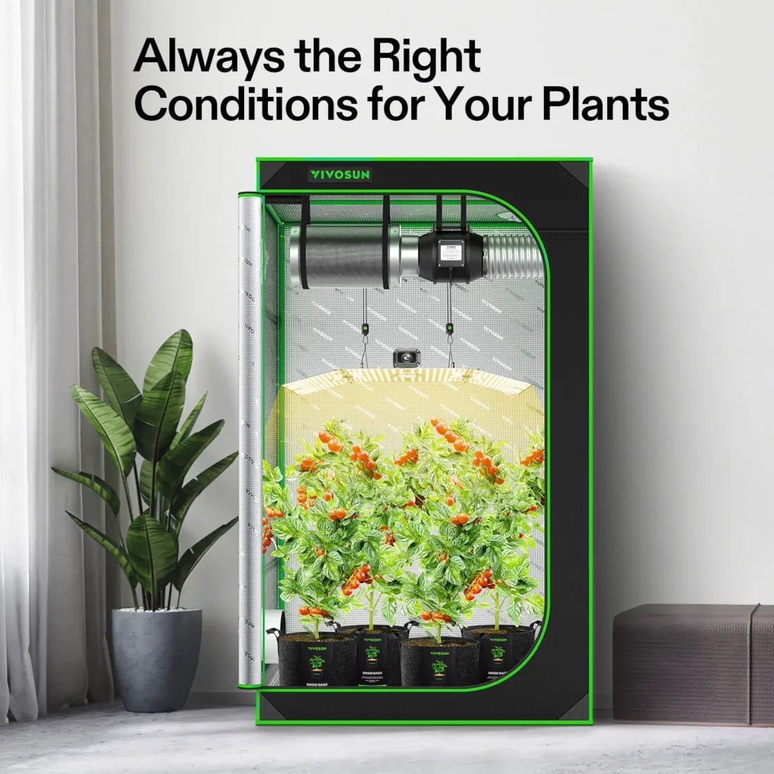 Vivosun Starter Grow Tent Kit, 4 × 4ft 4 - Plant System, WiFi - Controlled Grow System with Full Spectrum LED Grow Light, Automatic Ventilation, GrowHub Outlet A22 with Temperature and Humidity Sensor - Green Thumb Depot