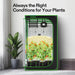 Vivosun Starter Grow Tent Kit, 4 × 4ft 4 - Plant System, WiFi - Controlled Grow System with Full Spectrum LED Grow Light, Automatic Ventilation, GrowHub Outlet A22 with Temperature and Humidity Sensor - Green Thumb Depot