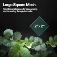 Vivosun Trellis Net for VGrow Smart Grow Box, 1 x 1 ft - Green Thumb Depot