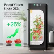 Vivosun VGrow DWC Hydroponics Growing System Kit for VGrow Smart Grow Box, 4 - Gallon Deep Water Culture with Air Stones and Rapid Rooters, Not Compatible with E42A - Green Thumb Depot