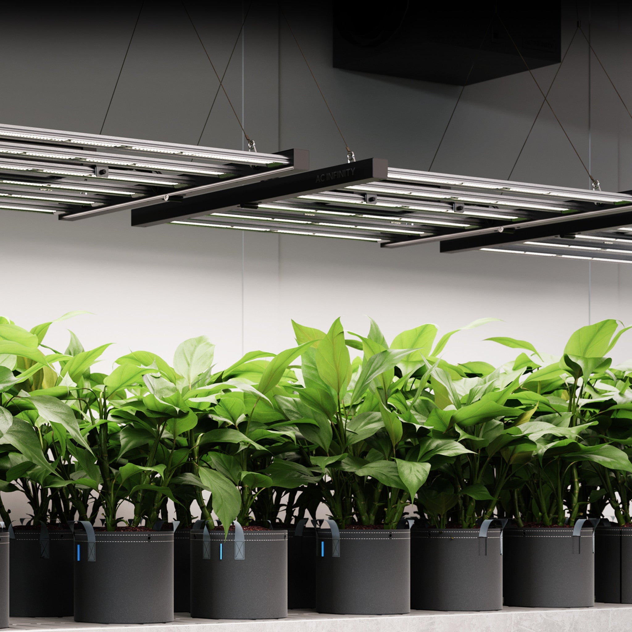 AC Infinity Ionframe EVO 8 730 Watt Commercial LED Grow Light 5X5
