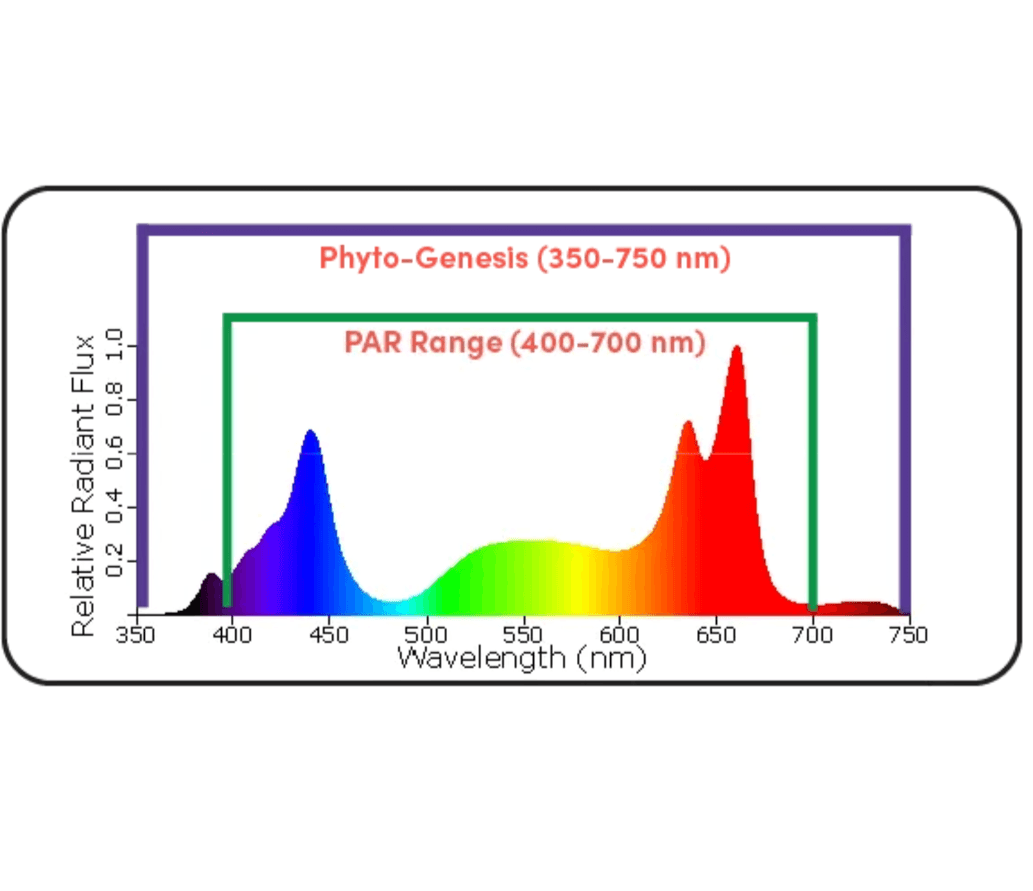 Black Dog Led Black Dog LED PhytoMAX-3 2SP 100W Grow Light - Green Thumb Depot