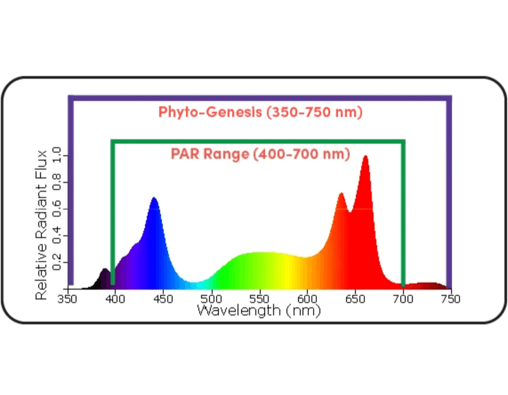 Black Dog Led Black Dog LED PhytoMAX-3 4SH 200W Grow Light - Green Thumb Depot