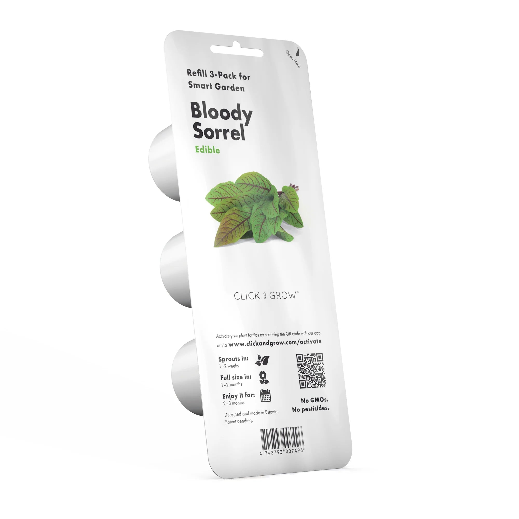 Bloody Sorrel Plant Pods - Green Thumb Depot