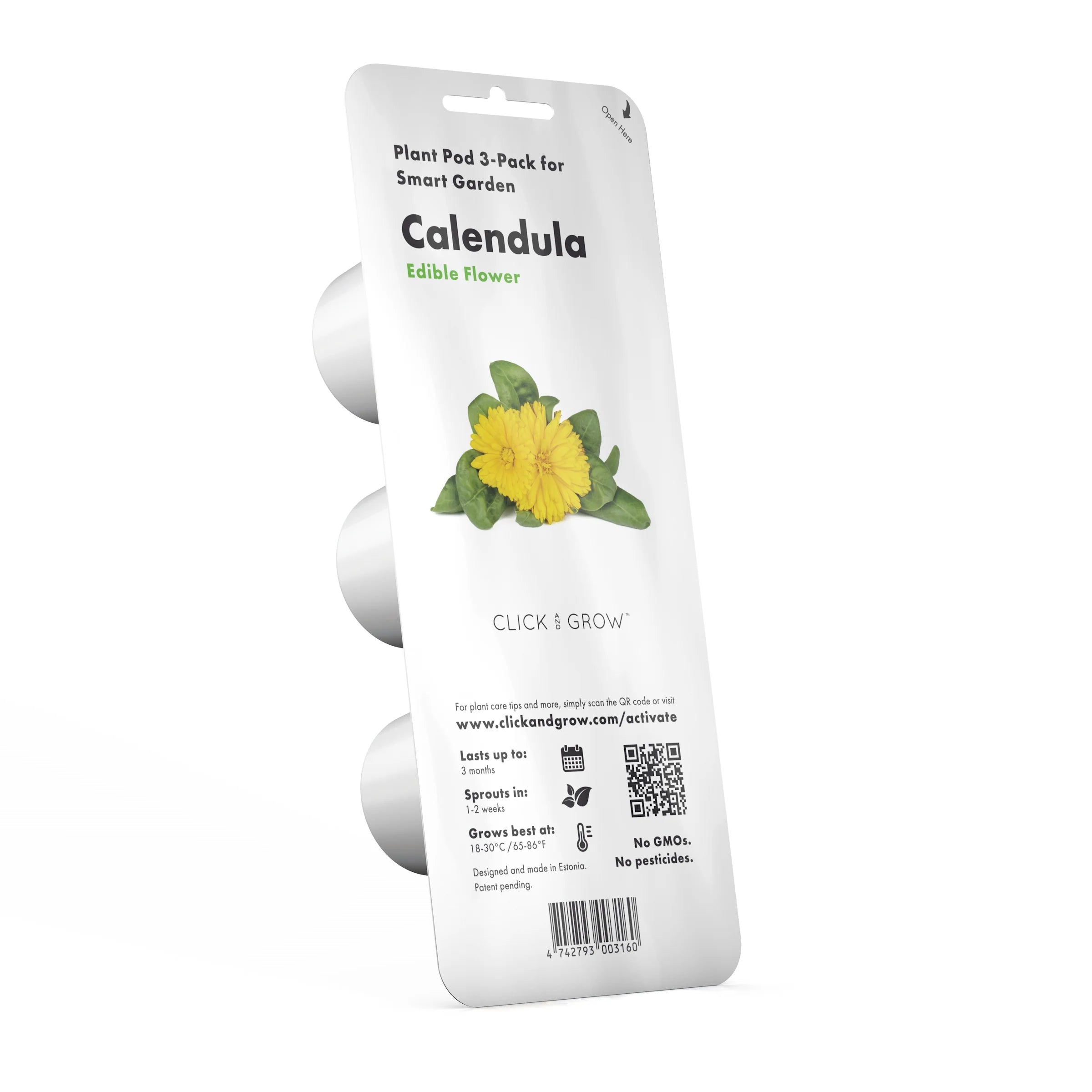 Calendula Plant Pods - Green Thumb Depot