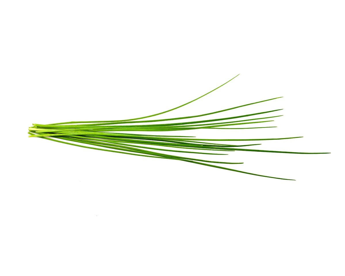 Chives Plant Pods - Green Thumb Depot
