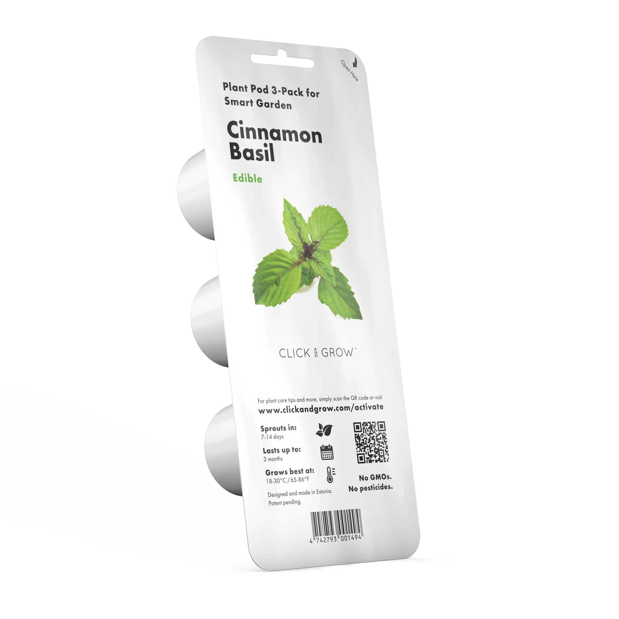 Cinnamon Basil Plant Pods - Green Thumb Depot