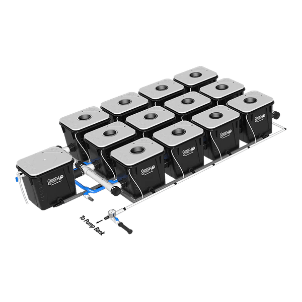 Current Culture H2O Under Current RDWC Hydroponic System - 8 Gallon, 18" Spacing - Green Thumb Depot