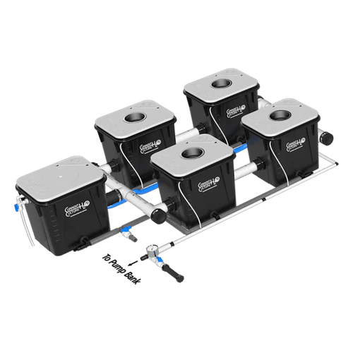 Current Culture H2O Under Current RDWC Hydroponic System - 8 Gallon, 25" Spacing - Green Thumb Depot