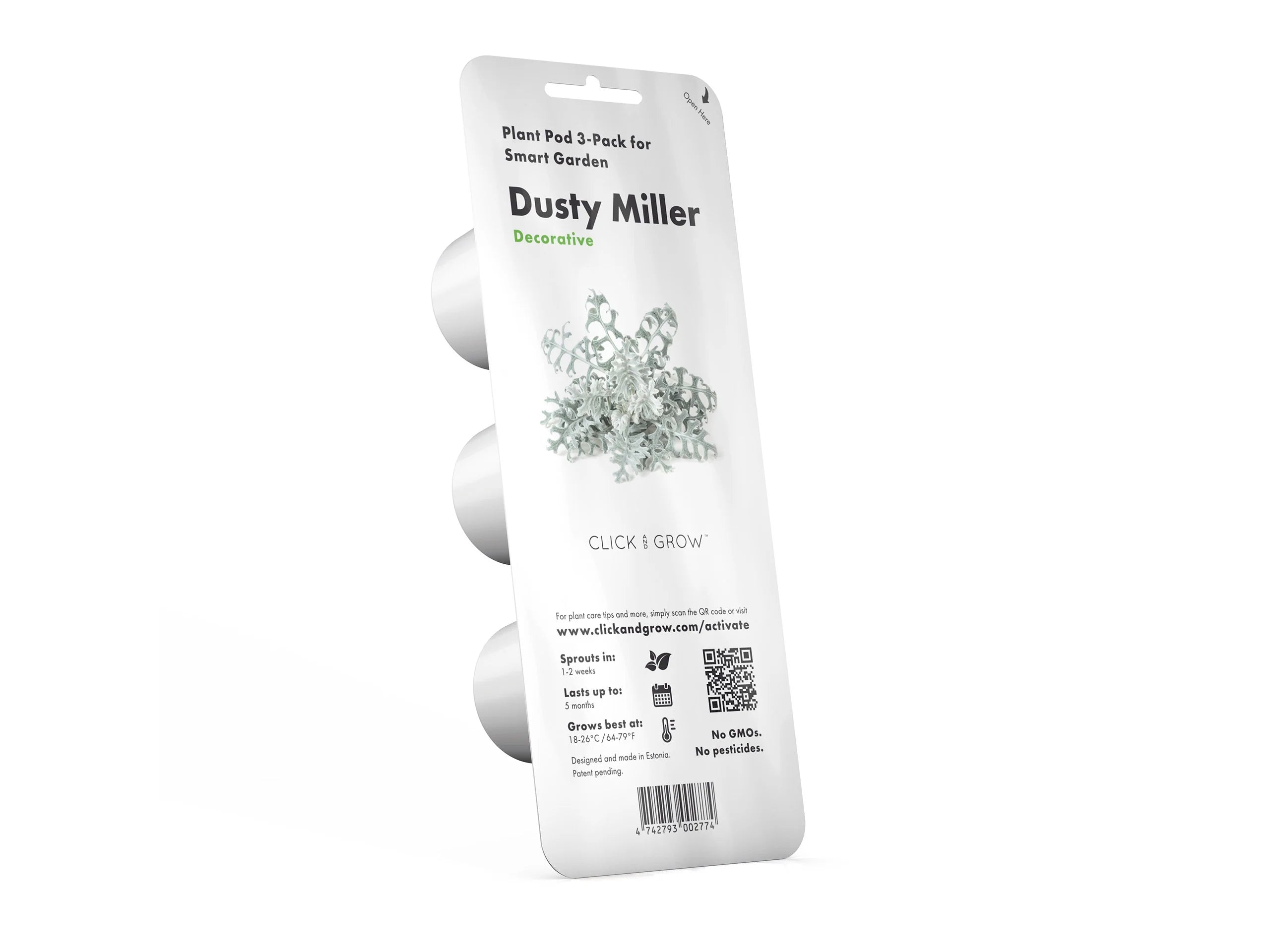 Dusty Miller Plant Pods - Green Thumb Depot