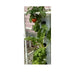 ExoTower 4-Tier Hydroponic Garden System - Green Thumb Depot