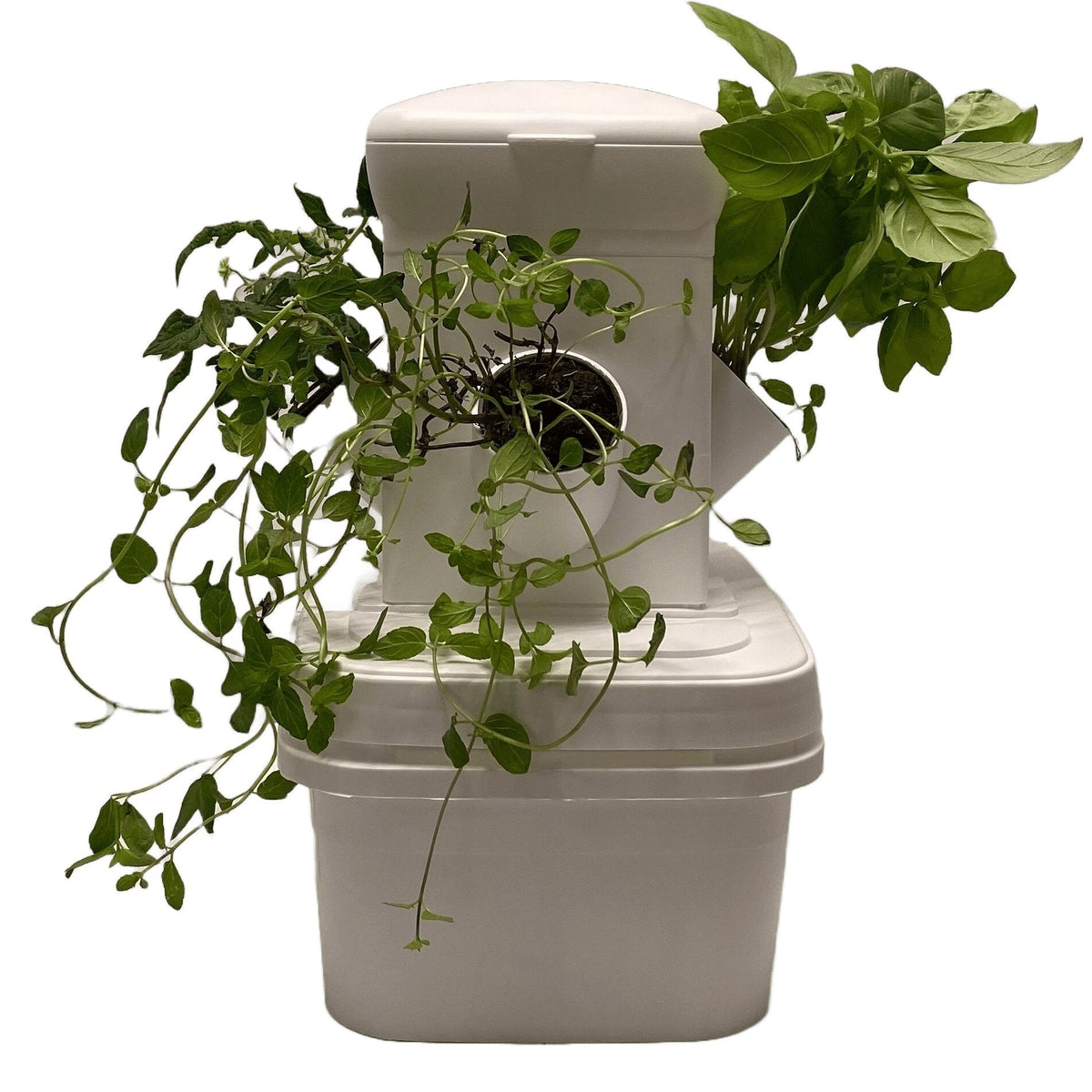 exo 24-plant vertical hydroponic garden tower system EXO Tabletop Garden Tower 4 Plants