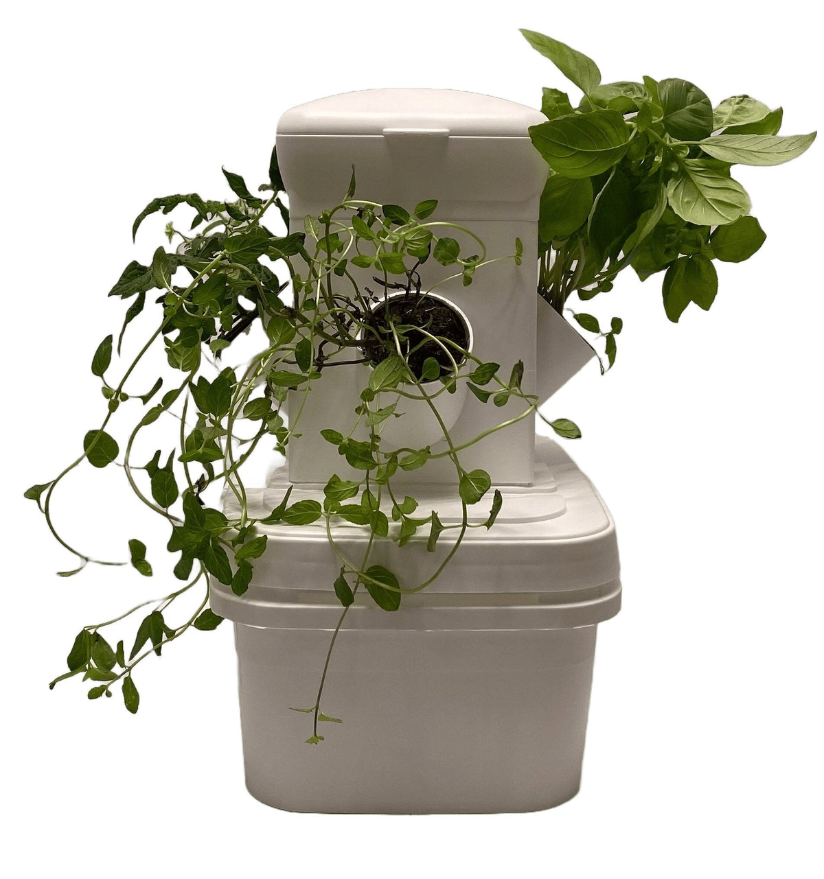 indoor plant grower tower EXO Tabletop Garden Tower 4 Plants