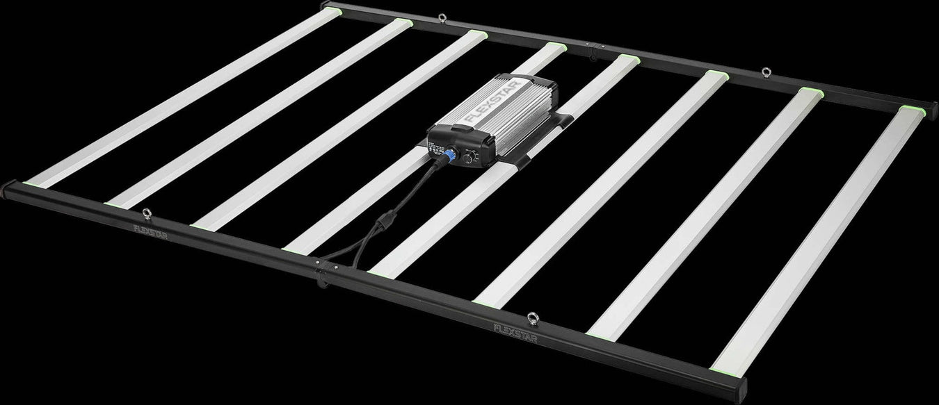 4 x 6 Grow Lights