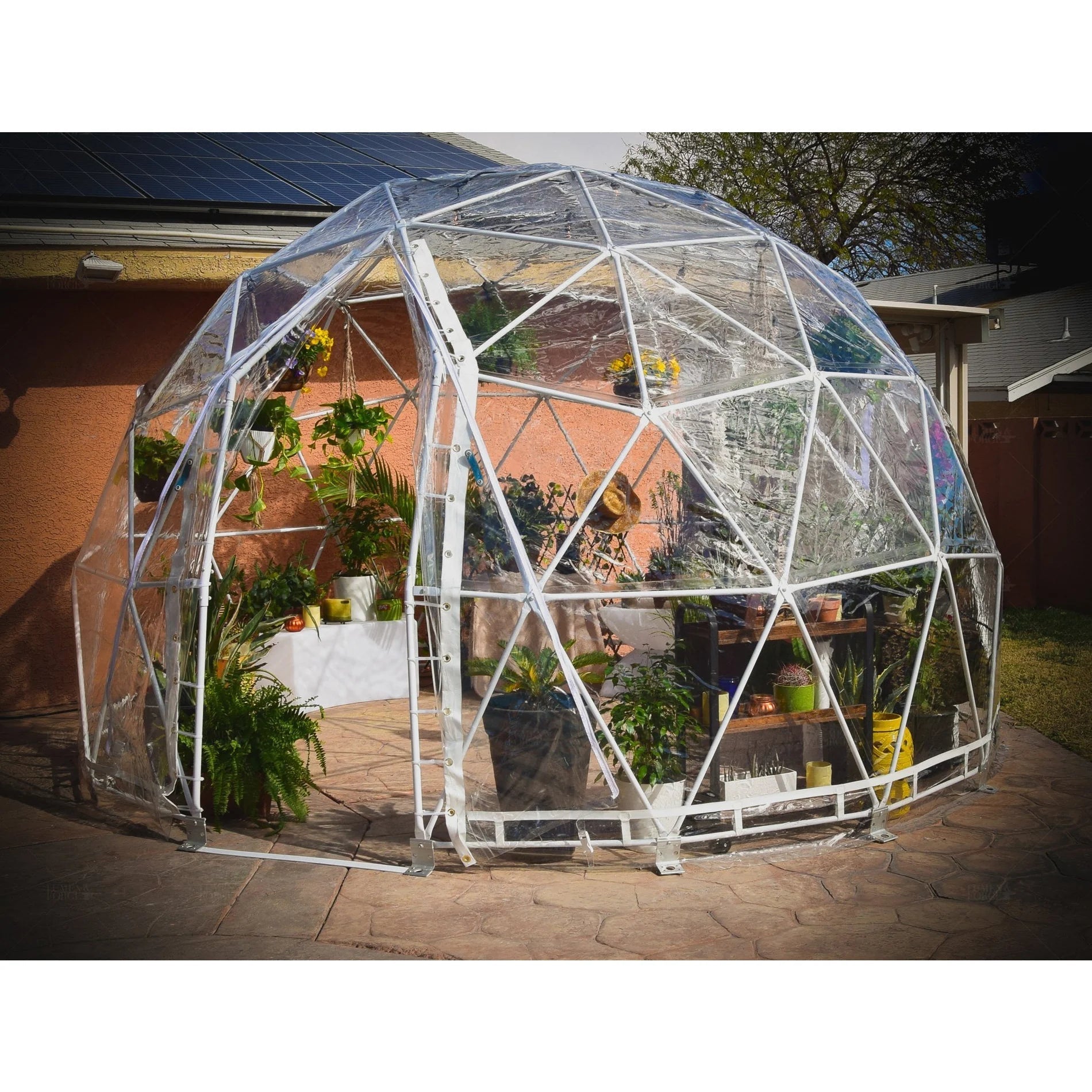 Lumen & Forge Geodesic Greenhouse Dome - Green Thumb Depot