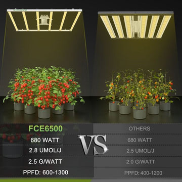 grow light for grow tent Mars Hydro 5x5 Grow Tent Kit w/ FC E6500 LED Grow Light