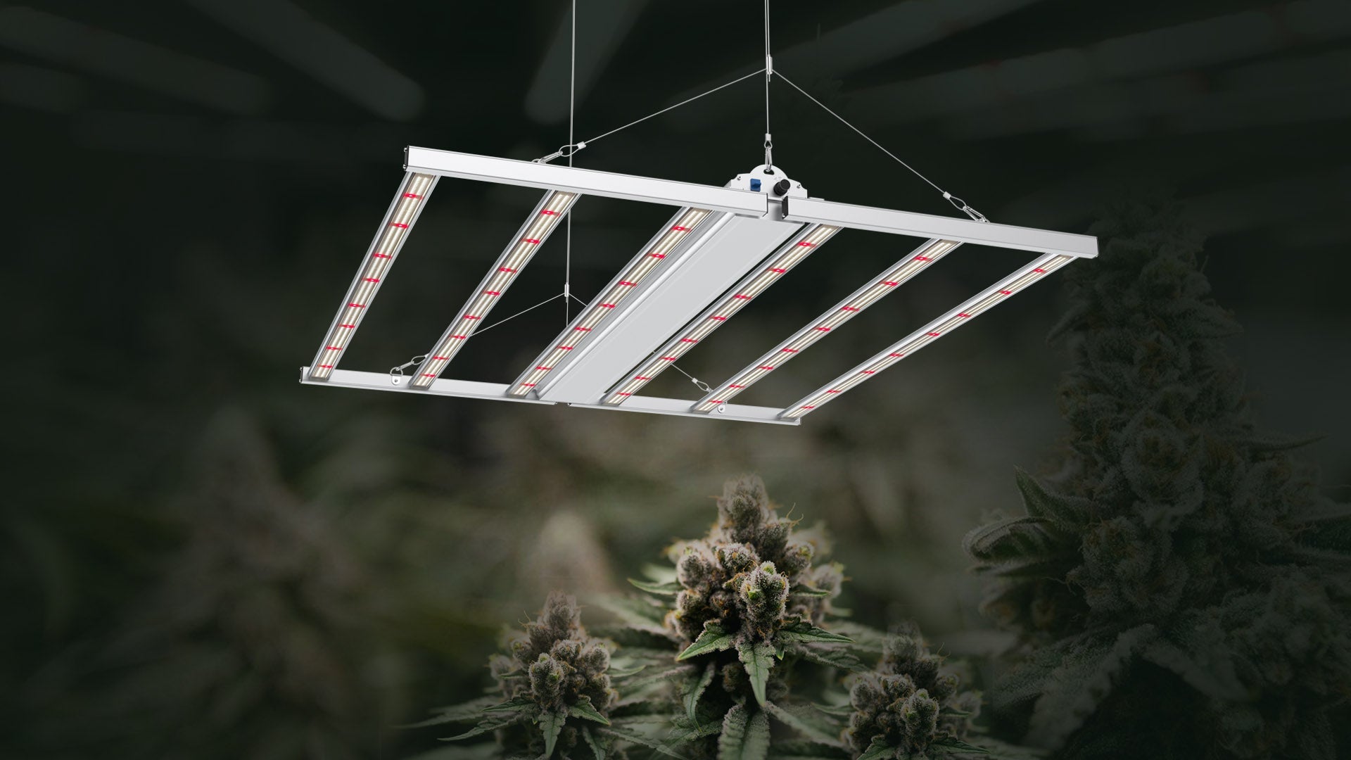 Medic Grow Fold-6 Full Cycle LED Grow Lights - Full Spectrum for Efficient Indoor Plants Growing - 660 Watt - Green Thumb Depot