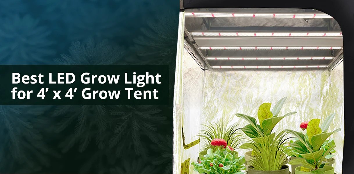 Medic Grow Fold-6 Full Cycle LED Grow Lights - Full Spectrum for Efficient Indoor Plants Growing - 660 Watt - Green Thumb Depot