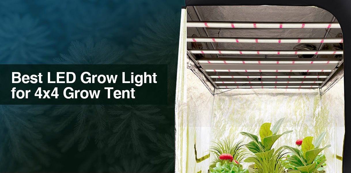 Medic Grow Fold-8 LED Grow Lights - Full Spectrum for Efficient Indoor Plants Growing - 760 Watt - Green Thumb Depot