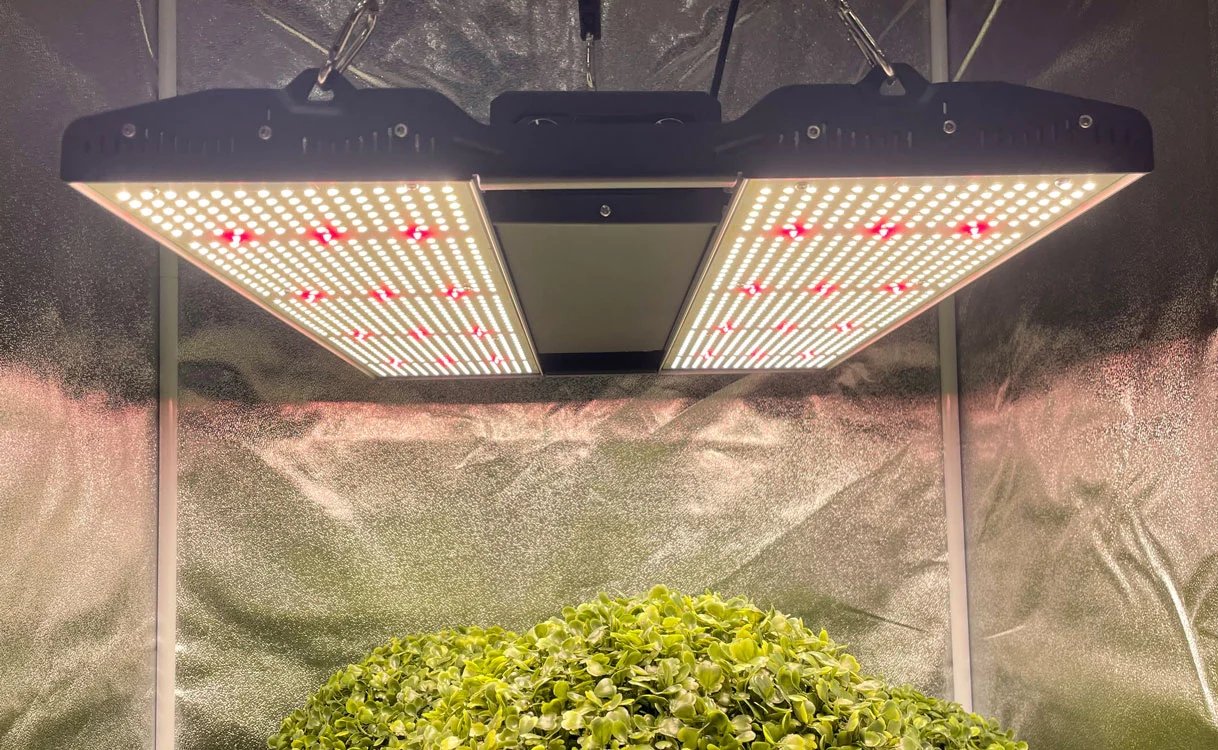 Medic Grow Mini Sun-2 LED Grow Light for Efficient Indoor Plants Growing - 320 Watt - Green Thumb Depot