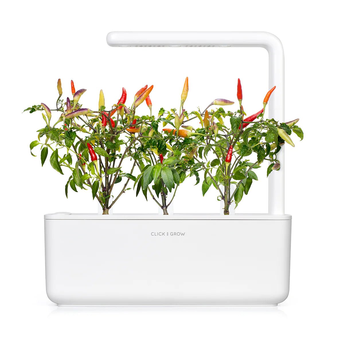 Red Hot Chili Pepper Plant Pods - Green Thumb Depot