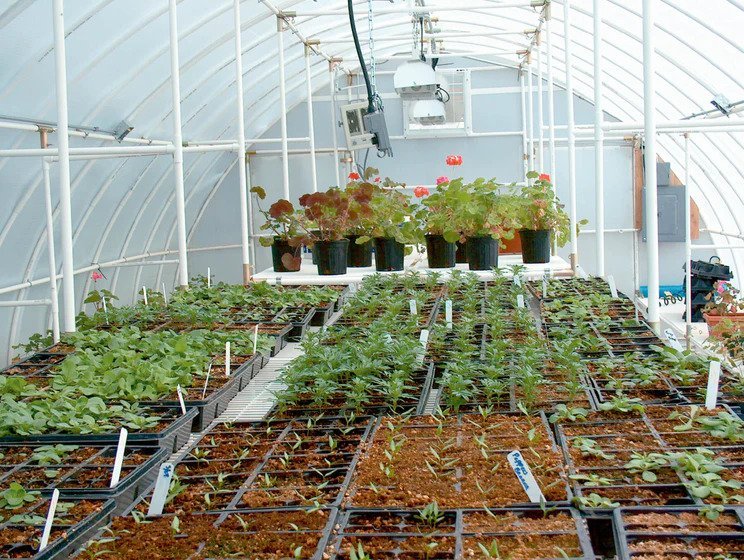 Solexx 16' x 16' x 9'6" Conservatory Greenhouse G-316 3.5mm - Green Thumb Depot
