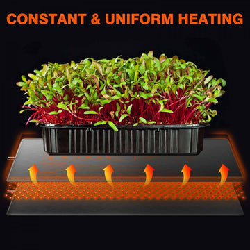 heat mat for indoor plants Spider Farmer 48”X20.75” Seedling Heat Mat and Digital Thermostat for Germination