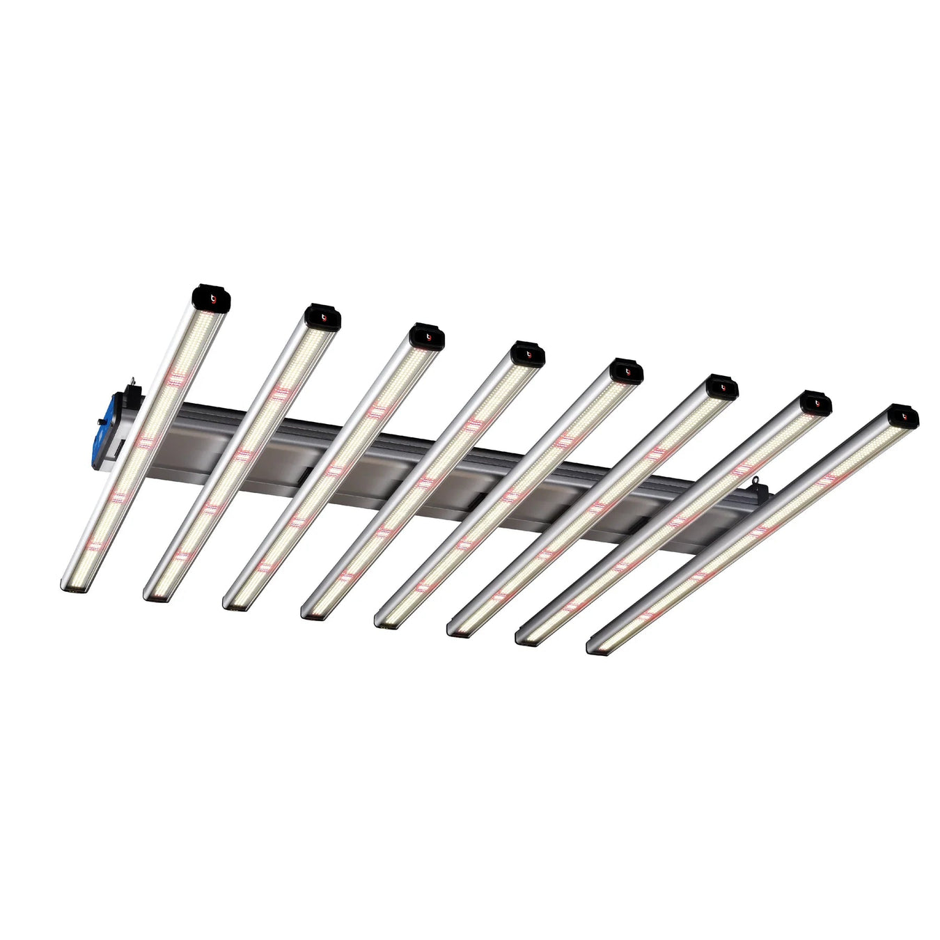 5 x 5 Grow Lights