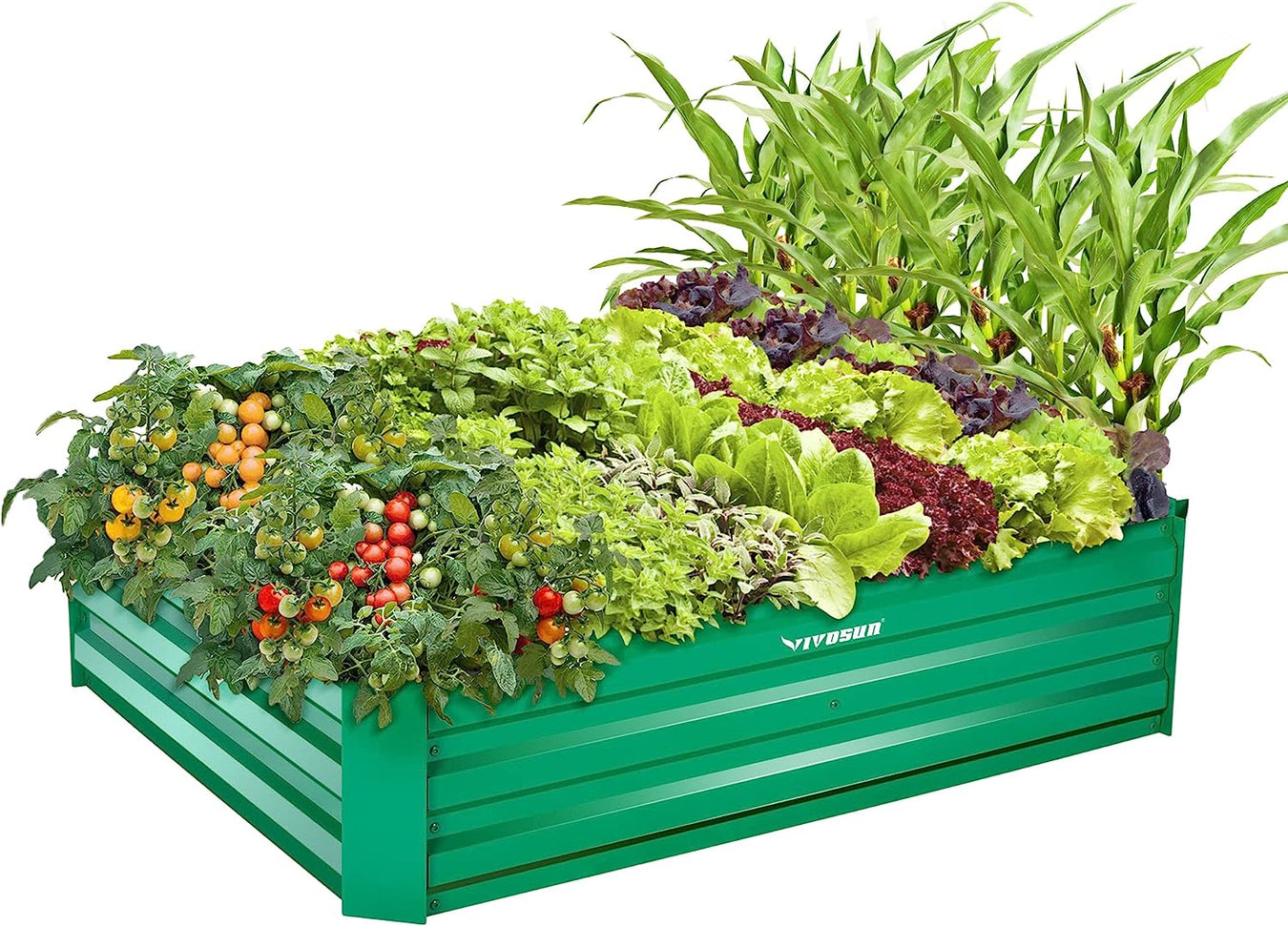 Garden Beds