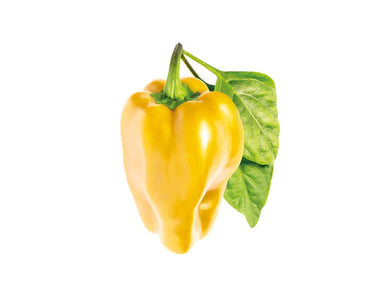 Yellow Sweet Pepper Plant Pods - Green Thumb Depot
